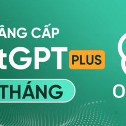 tài khoản chatgpt plus 1 tháng
