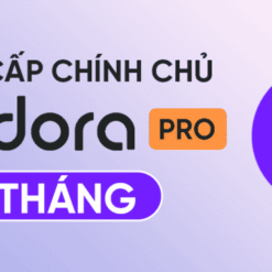pacdora pro 1 tháng