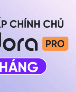 pacdora pro 1 tháng