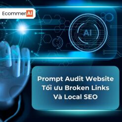 Prompt Audit Website Tối ưu Broken Links Và Local SEO