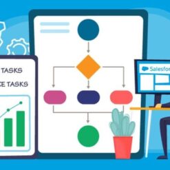 workflow kiểm tra sơ yếu lý lịch bằng ai
